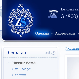 ZSBrand - линия дизайнерской одежды